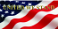 American Flag Panel