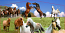 Horses Panel
